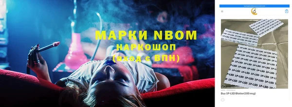 стаф Абаза