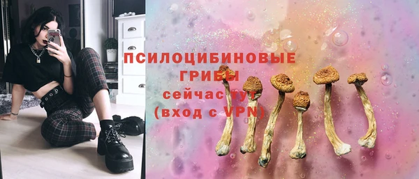 прущие крисы Алзамай
