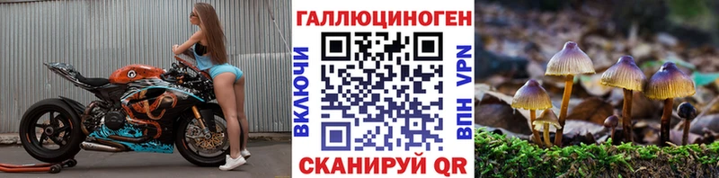 купить закладку  Клинцы  Псилоцибиновые грибы Magic Shrooms 
