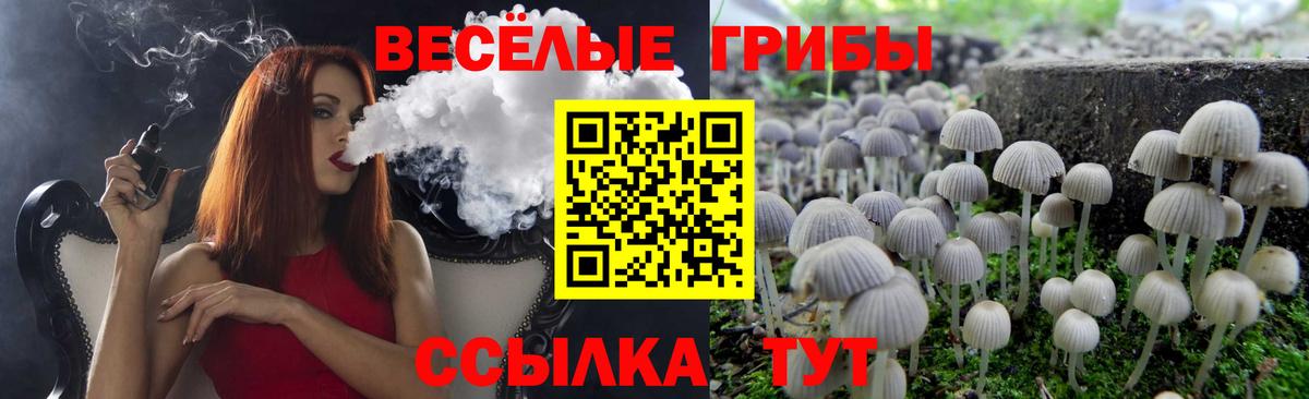 Клинцы  Псилоцибиновые грибы Magic Shrooms  Вход с VPN 
